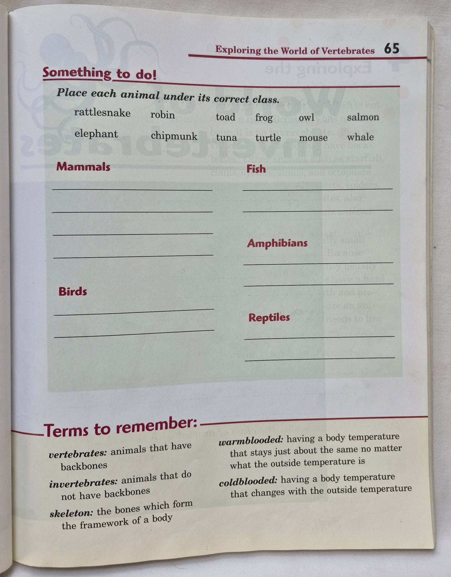 Abeka Exploring God's World Fourth Ed. Grade 3 Textbook (Good, 2006, Pbk, 168 pages, A Beka Book)