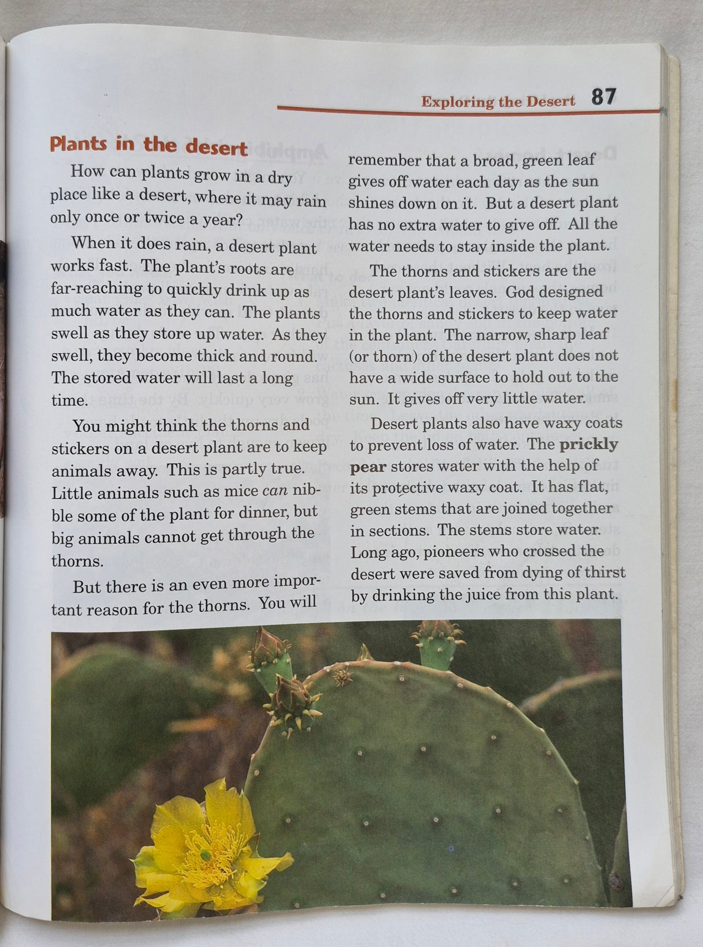 Abeka Exploring God's World Fourth Ed. Grade 3 Textbook (Good, 2006, Pbk, 168 pages, A Beka Book)