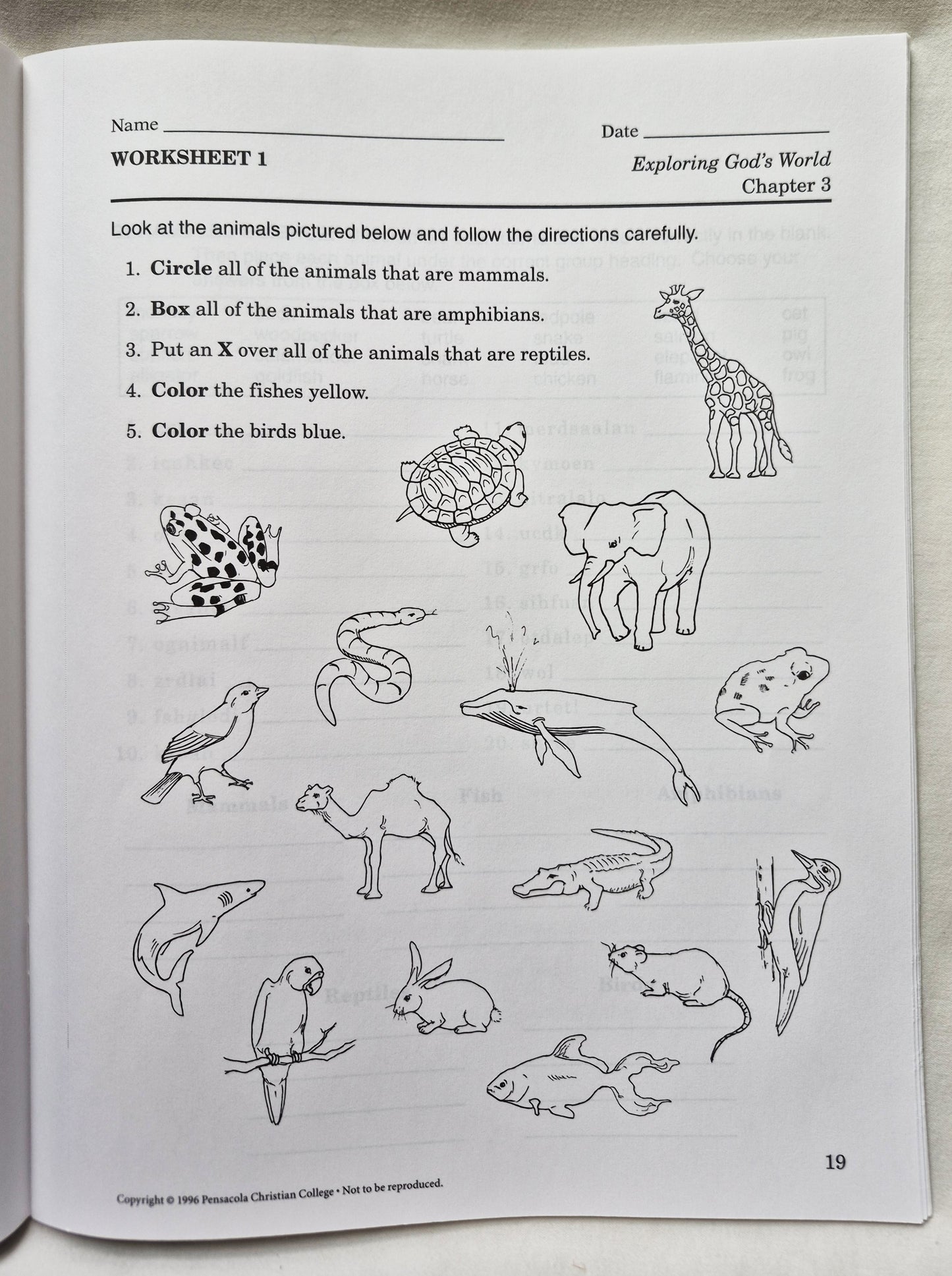 Abeka Exploring God's World Grade 3 Tests/Quizzes/Worksheets (Gut, 1996, Taschenbuch, 56 S.)