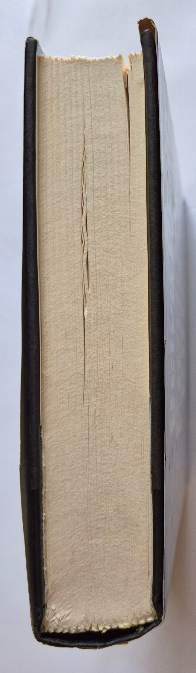 Crescent City von Belva Plain (Sehr gut, 1984, gebunden, 383 Seiten, Delacorte Press)
