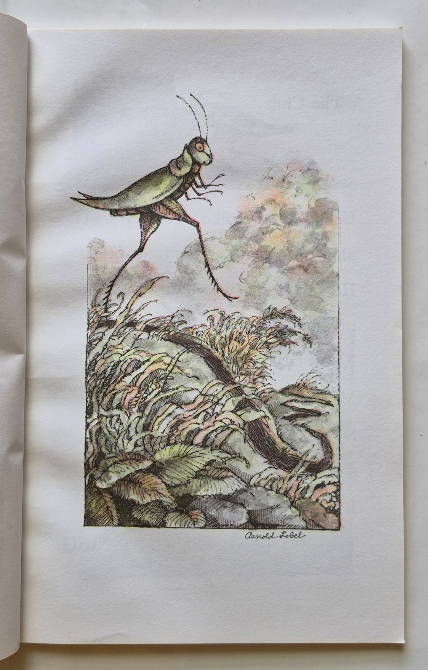 Grashüpfer unterwegs von Arnold Lobel (Sehr guter Zustand, 1986, Taschenbuch, 62 Seiten, HarperTrophy)