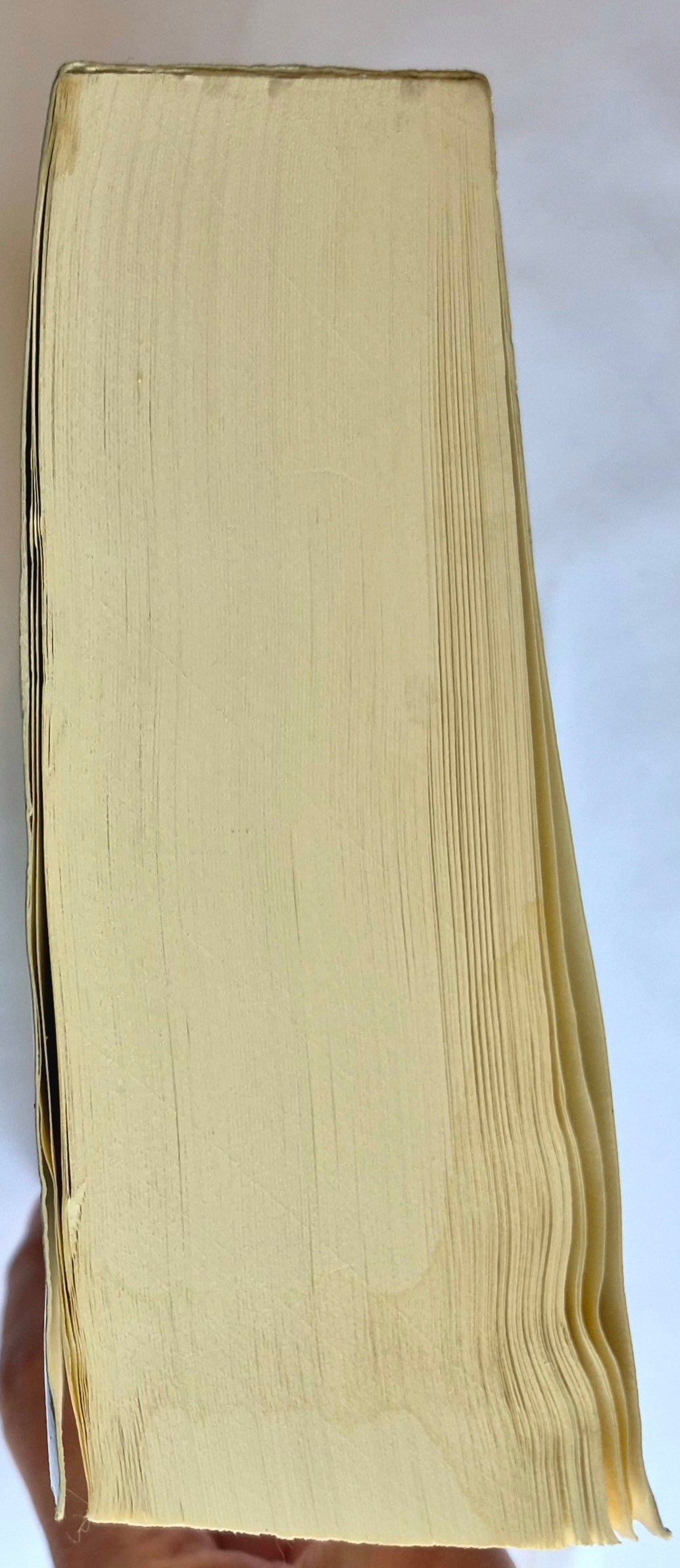 Die Chroniken des Bruder Cadfael (Der fromme Dieb, Mord im Kloster, Ein Sarg zuviel, Der Rosenmord) von Ellis Peters (Gut, 1995, Taschenbuch, 848 Seiten, Quality Paperback Book Club)