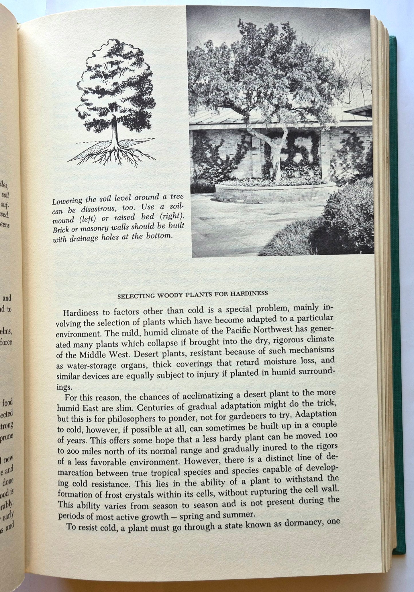 The American Home Garden Book and Plant Encyclopedia (Sehr gut, 1963, HC, 512 Seiten, M. Evans & Co.)