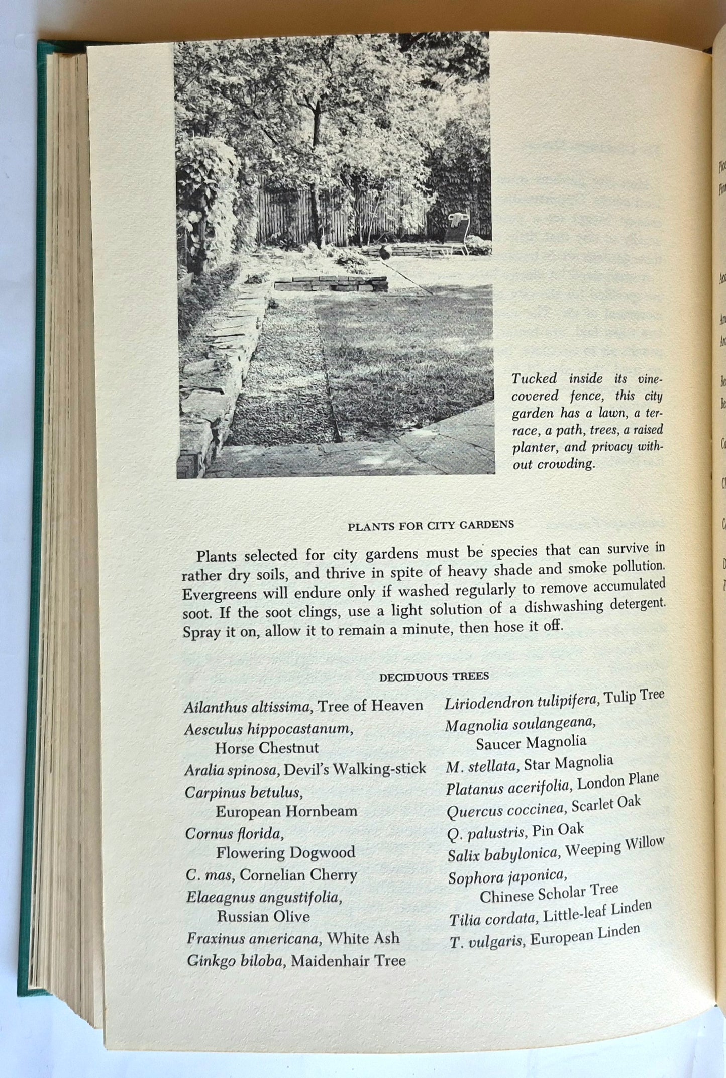 The American Home Garden Book and Plant Encyclopedia (Sehr gut, 1963, HC, 512 Seiten, M. Evans & Co.)