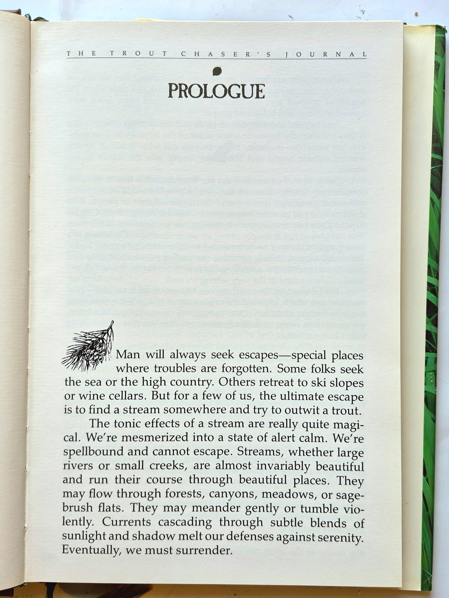 Trout Chaser's Journal: A Dairy for the Trout & Salmon Fisherman von Tully Stroud (Sehr gut, 1986, HC, 144 Seiten, Mandarin Offset Marketing)