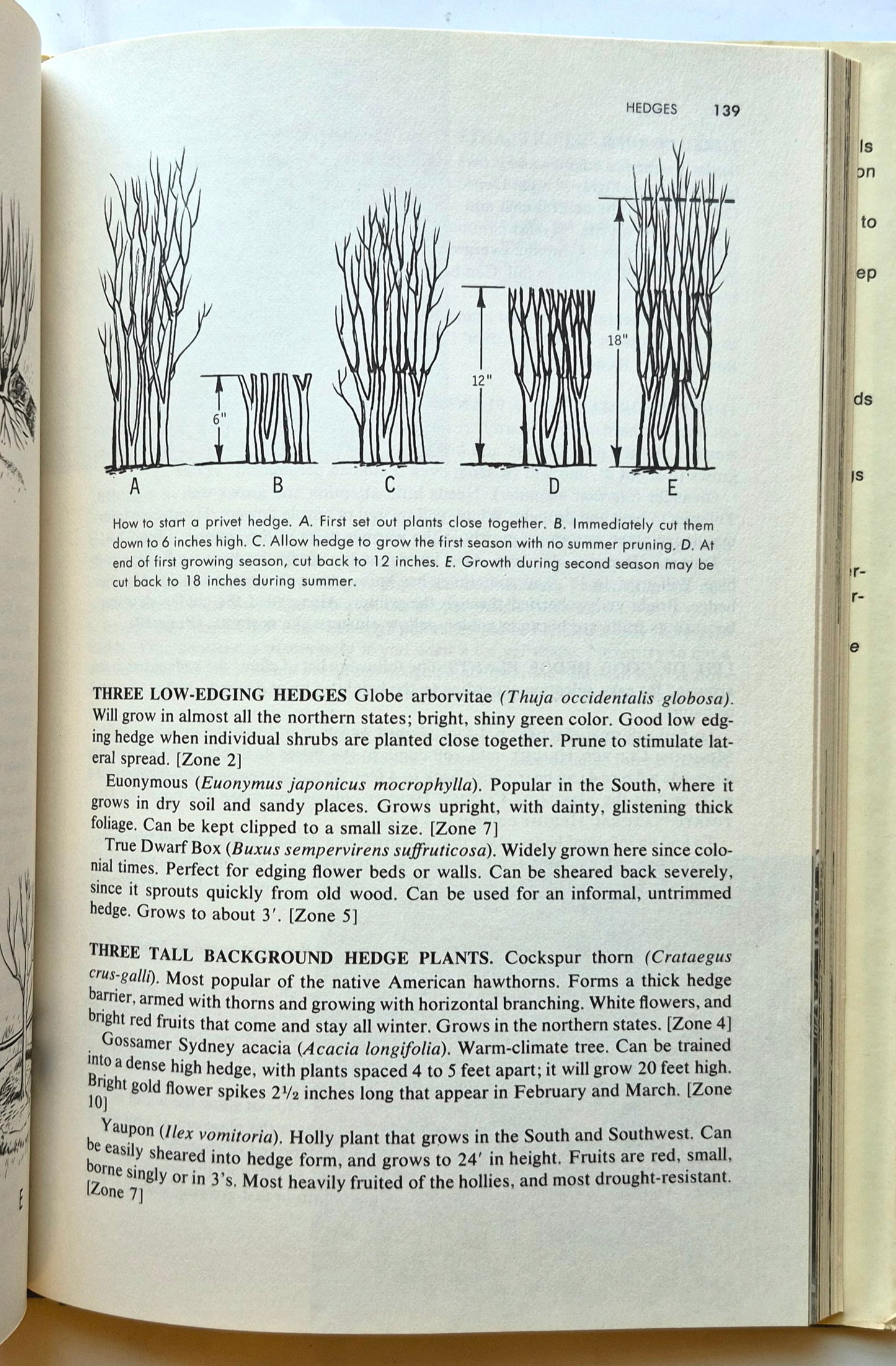 Home Guide to Lawns and Landscaping von Bruce Cassiday (Sehr guter Zustand, 1976, gebundene Ausgabe, 210 Seiten, Times Mirror Magazines)