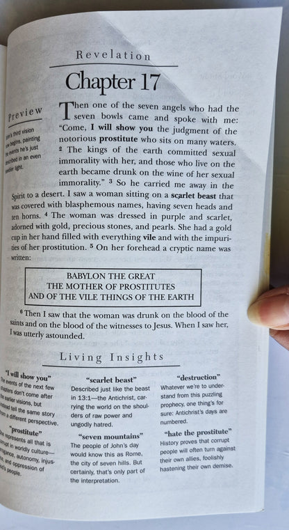 Living with the End in Sight: Meditations on the Book of Revelation by Kendell H. Easley (Sehr gut, 2000, Taschenbuch, 100 S., Holman Bible Pub.)