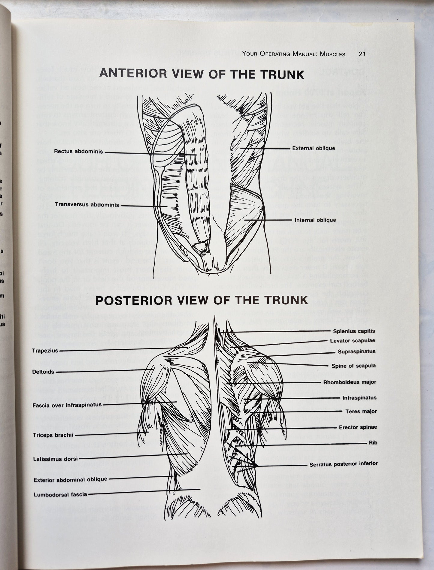 The Complete Book of Nautilus Training von Michael D. Wolf (Gut, 1984, TB, 122 S., Contemporary Books)