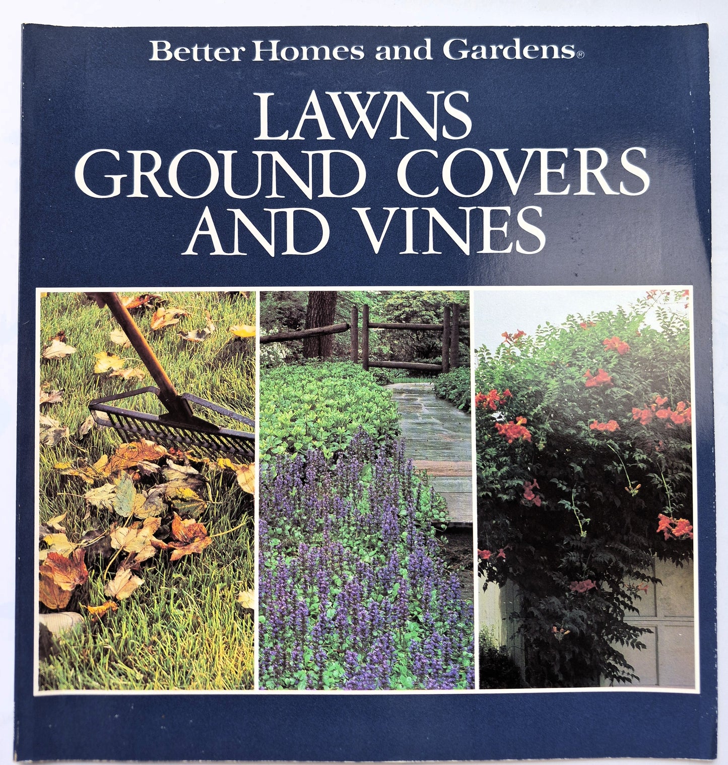 Better Homes and Gardens Lawns, Ground Covers, and Vines Herausgeber Gerald Knox (Sehr gut, 1988, Taschenbuch, 48 S.)
