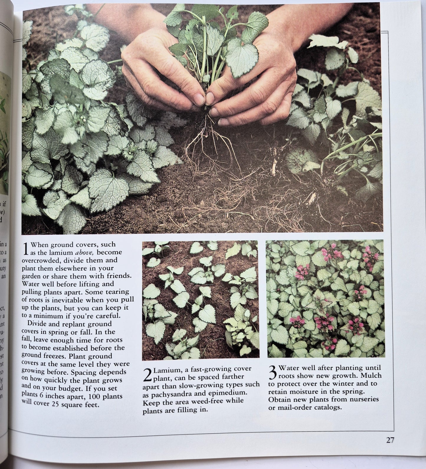 Better Homes and Gardens Lawns, Ground Covers, and Vines Herausgeber Gerald Knox (Sehr gut, 1988, Taschenbuch, 48 S.)