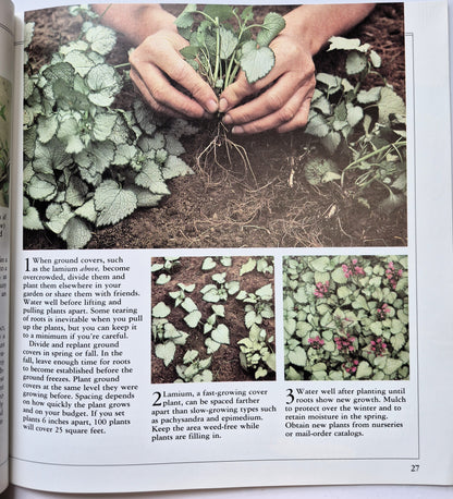 Better Homes and Gardens Lawns, Ground Covers, and Vines Herausgeber Gerald Knox (Sehr gut, 1988, Taschenbuch, 48 S.)
