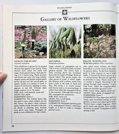 Better Homes and Gardens Lawns, Ground Covers, and Vines Herausgeber Gerald Knox (Sehr gut, 1988, Taschenbuch, 48 S.)