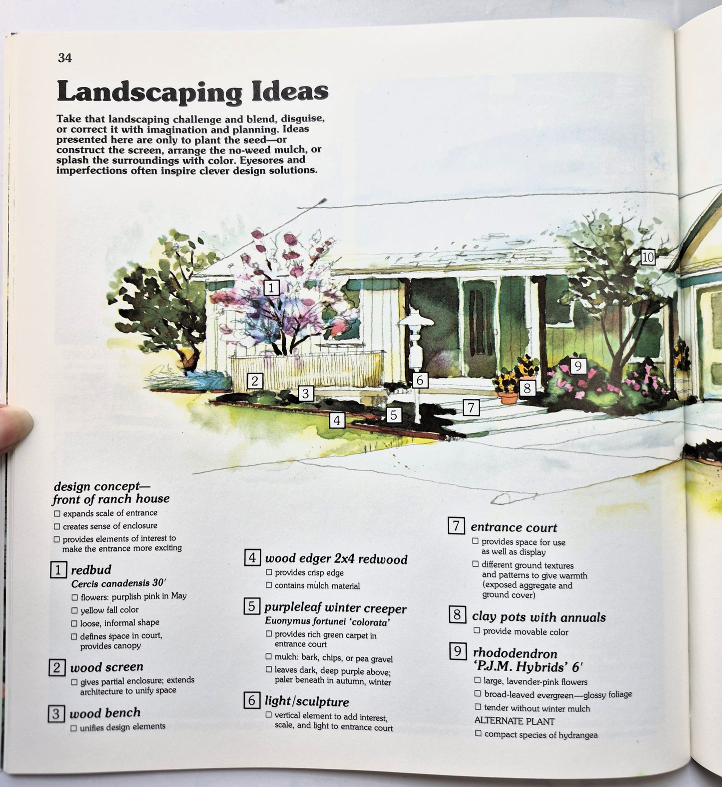 Better Homes and Gardens Landscaping and Outdoor Living Herausgeber Gerald Knox (Sehr gut, 1989, Taschenbuch, 48 S.)