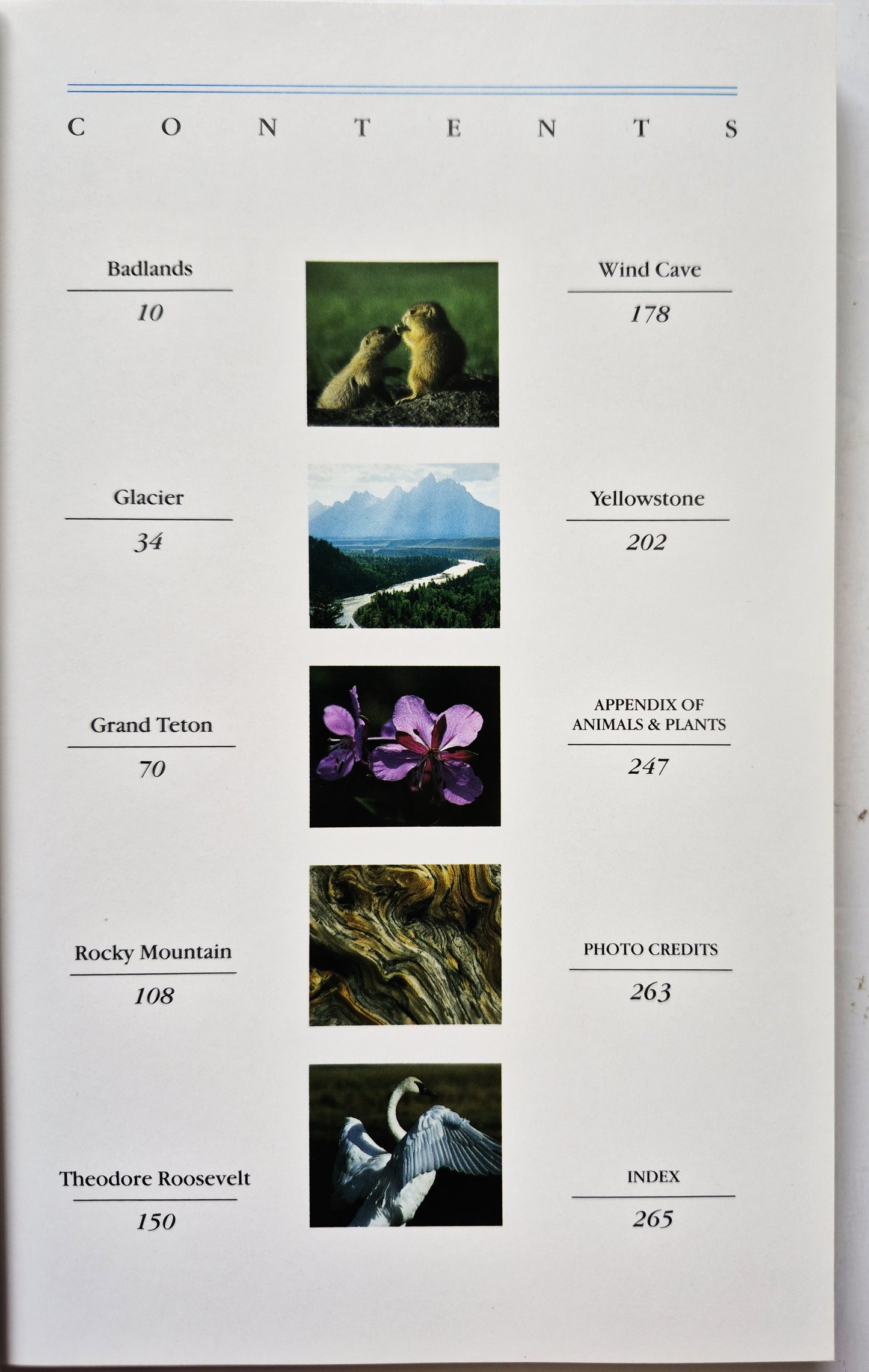 The Sierra Club Guides: Rocky Mountains and the Great Plains von Conger Beasly Paul Schullery; Stephen Trimble (Sehr gut, 1984, Paperback, 272 Seiten, Random House)