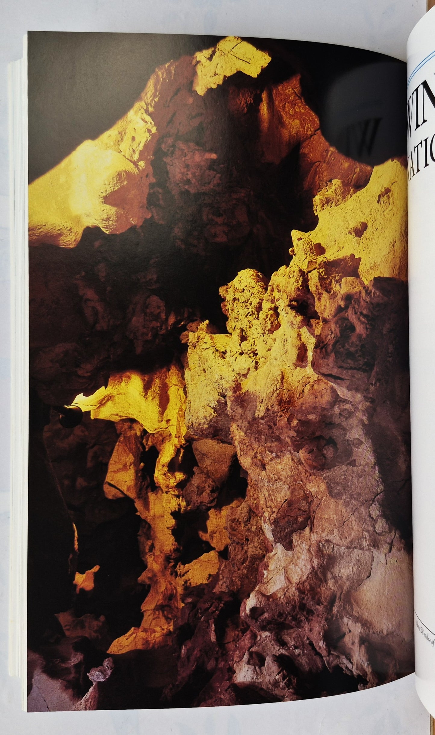 The Sierra Club Guides: Rocky Mountains and the Great Plains von Conger Beasly Paul Schullery; Stephen Trimble (Sehr gut, 1984, Paperback, 272 Seiten, Random House)
