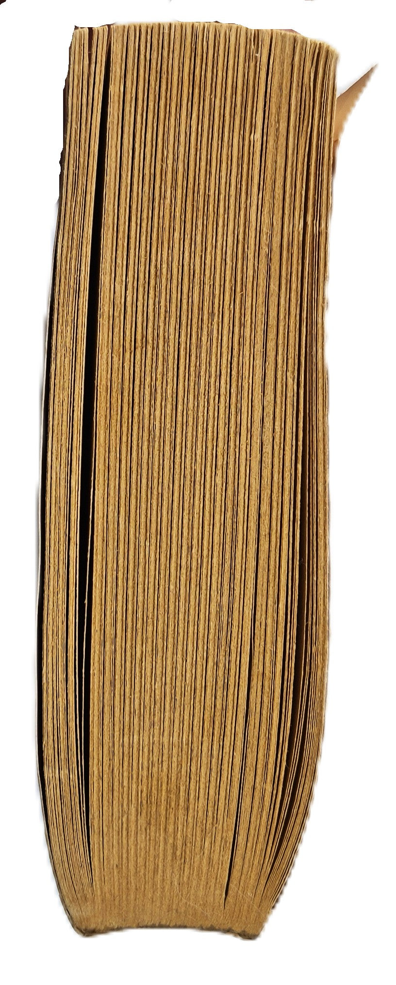 Megatrends: Zehn neue Entwicklungen, die unser Leben verändern von John Naisbitt (Gut, 1984, Pbk, 333 S., Warner Books)