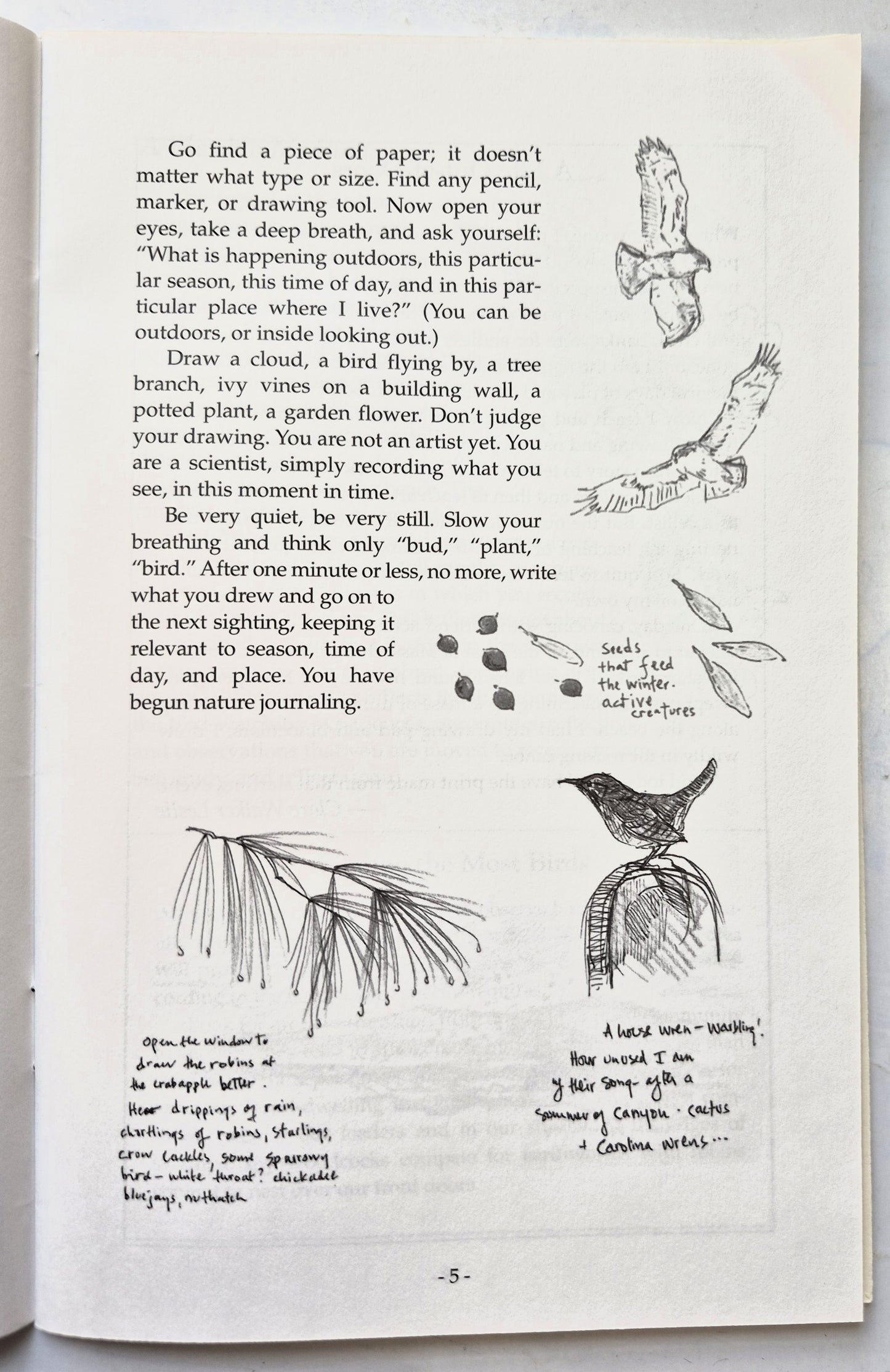 Creating a Bird-Watcher's Journal von Clare W. Leslie; Charles E. Roth (Sehr gut, 1999, Taschenbuch, 32 Seiten, Storey Books)