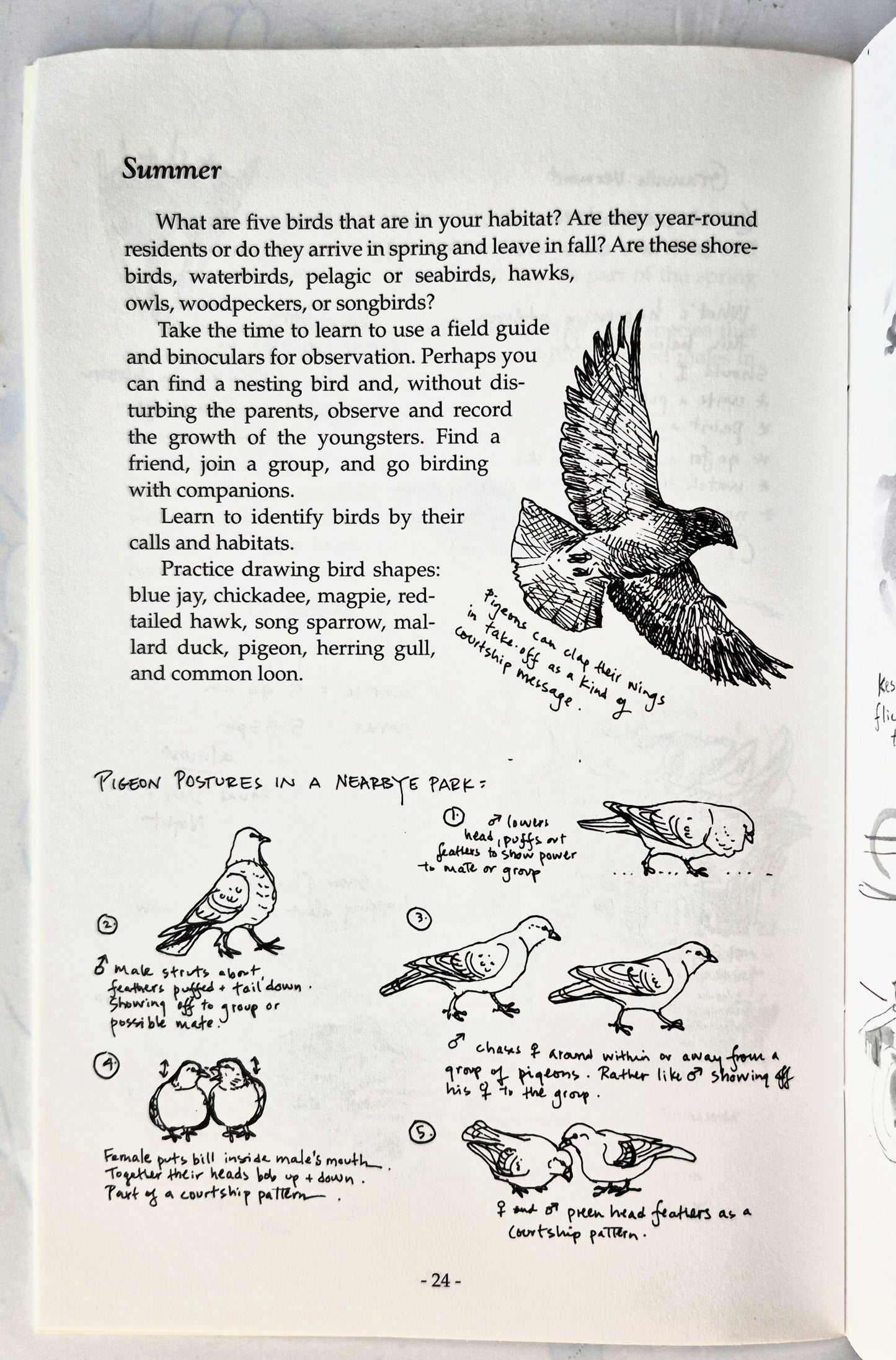 Creating a Bird-Watcher's Journal von Clare W. Leslie; Charles E. Roth (Sehr gut, 1999, Taschenbuch, 32 Seiten, Storey Books)