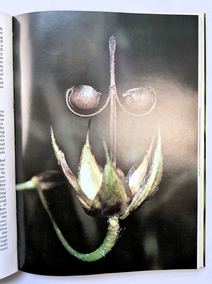 Photographing Nature von Claude Nuridsany; Marie Perennou (Sehr gut, 1975, HC, 157 S., Kaye & Ward)