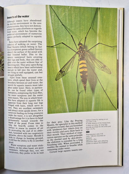 Photographing Nature von Claude Nuridsany; Marie Perennou (Sehr gut, 1975, HC, 157 S., Kaye & Ward)