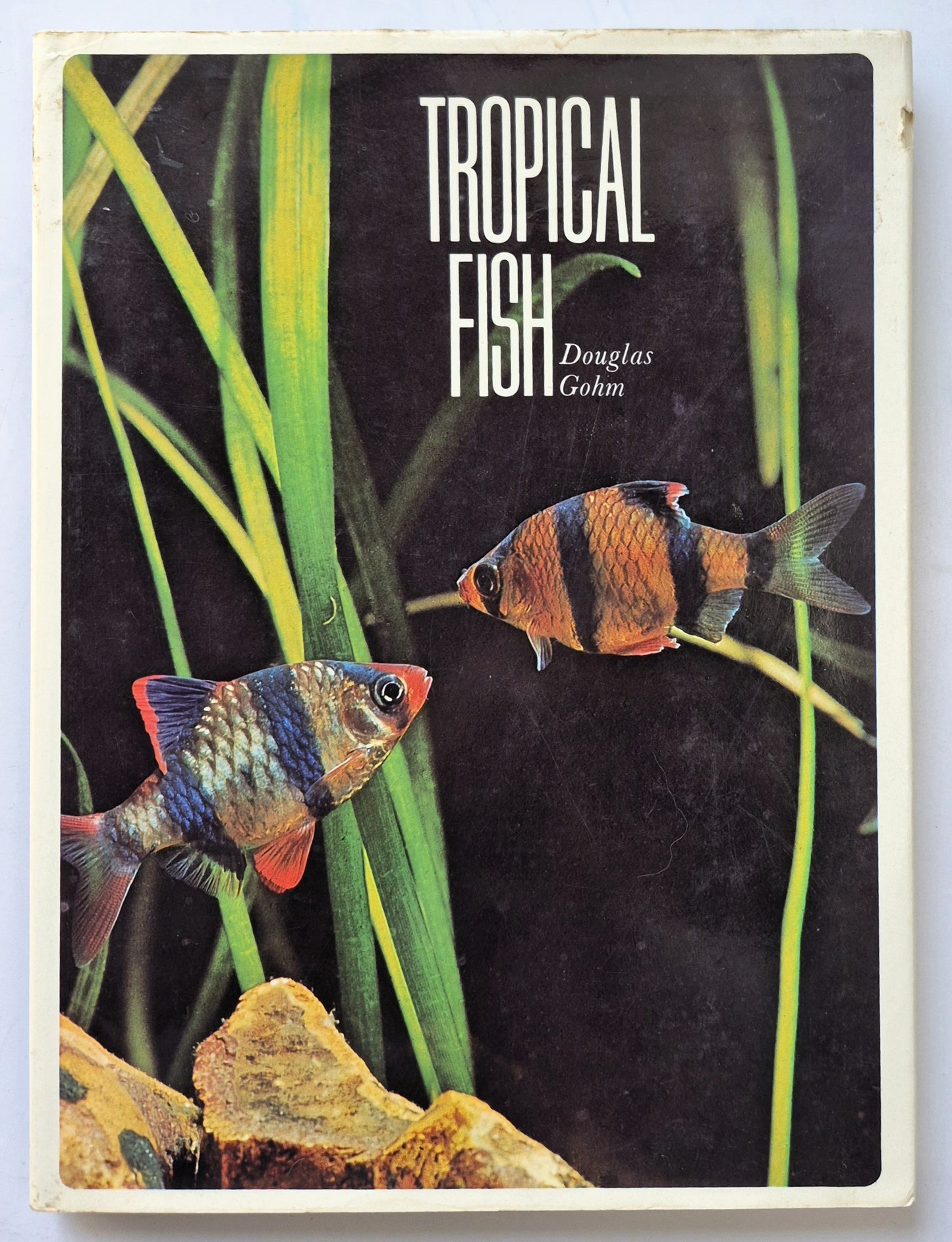 Tropische Fische von Douglas Gohm (Gut, 1971, gebunden, 143 S., Hamlyn)