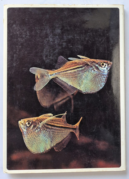 Tropische Fische von Douglas Gohm (Gut, 1971, gebunden, 143 S., Hamlyn)
