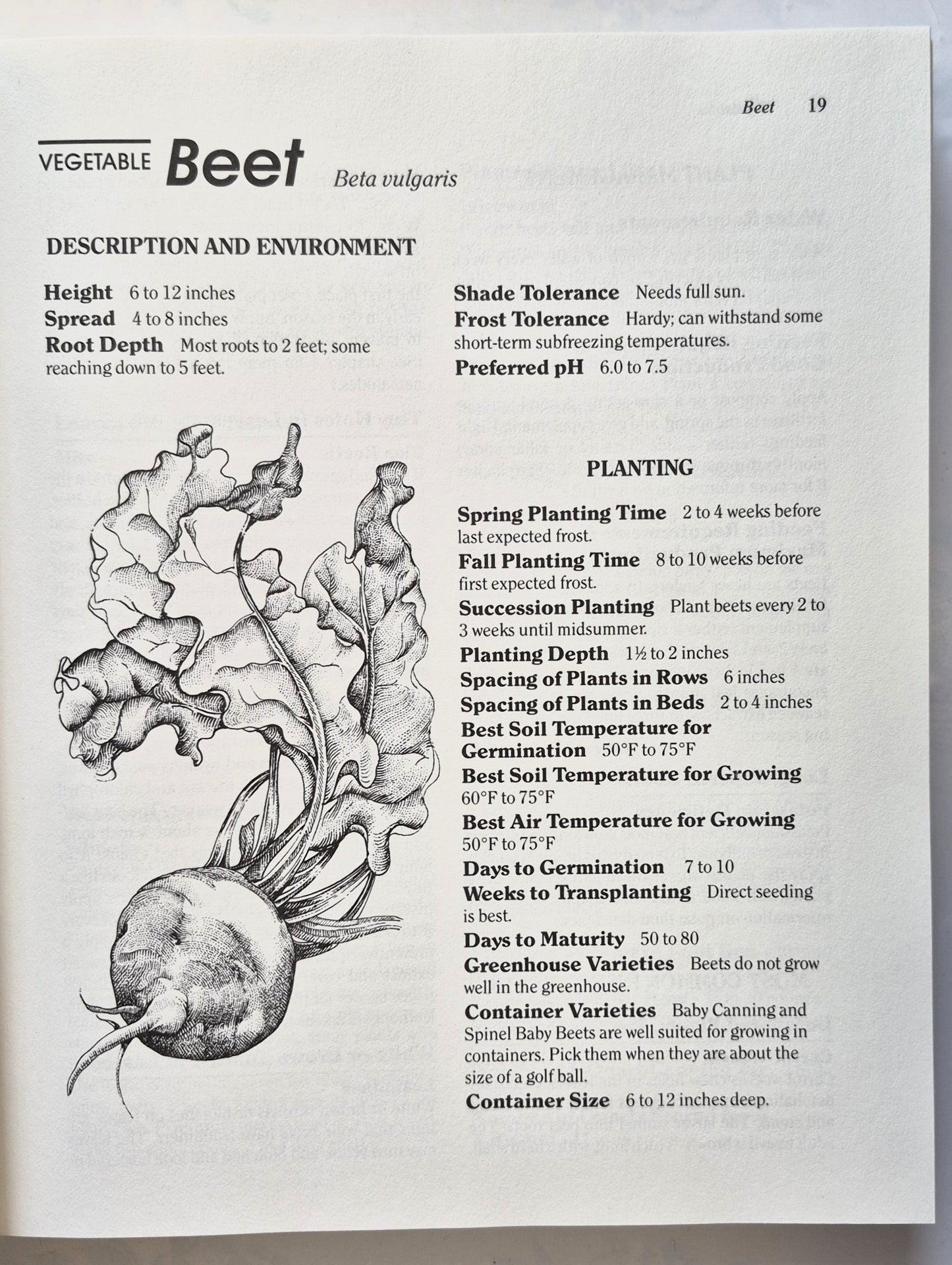 Rodale's Garden Problem Solver: Vegetables, Frutis, Herbs von Jeff Ball (Sehr gut, 1988, Gebundene Ausgabe, 350 Seiten, Rodale Press)