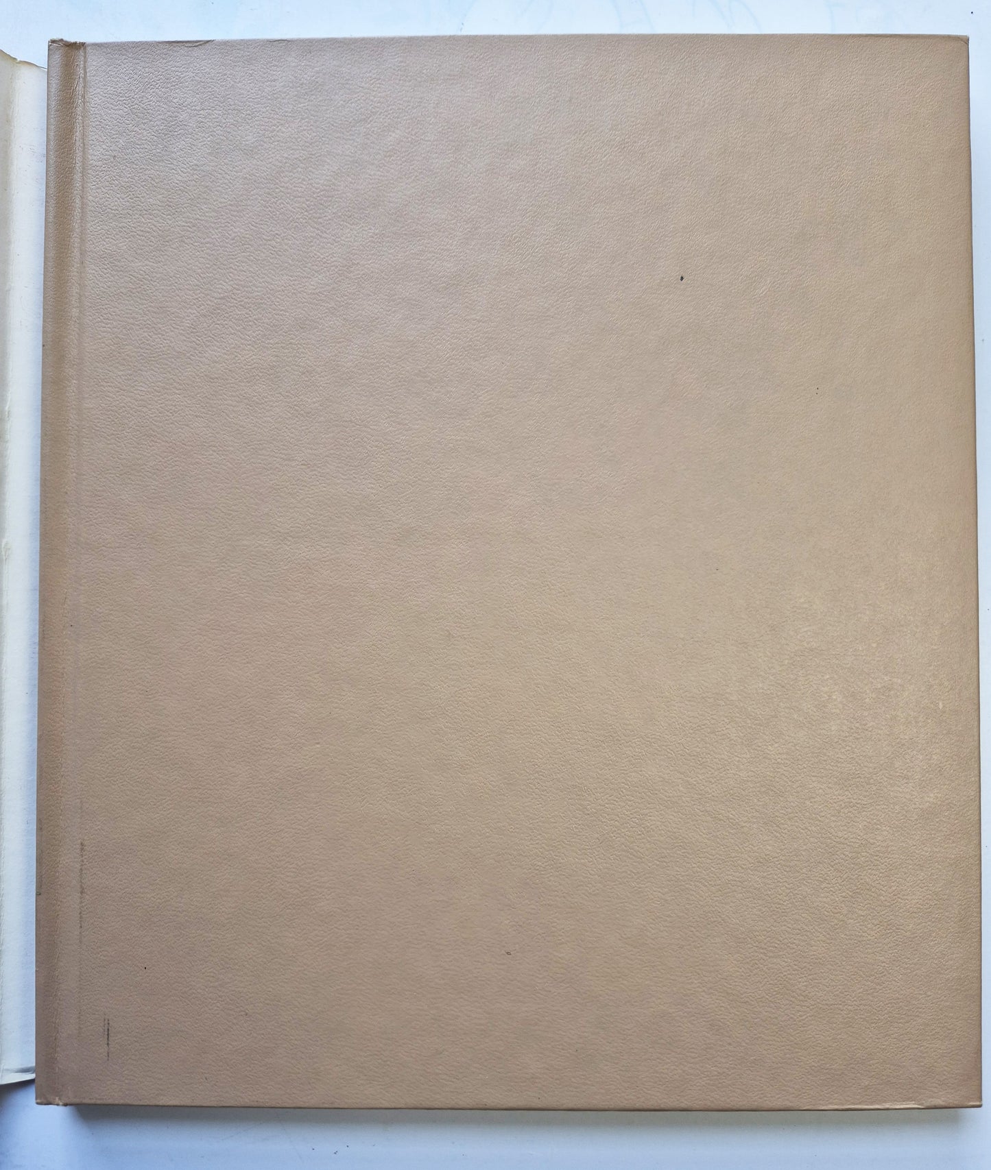 Jesus Calling: Tägliche Andachten für das ganze Jahr von Sarah Young (Gut, 2004, wattierter HC, 382 Seiten, Thomas Nelson)