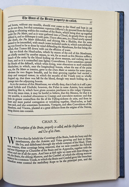 Jesus Calling: Tägliche Andachten für das ganze Jahr von Sarah Young (Gut, 2004, wattierter HC, 382 Seiten, Thomas Nelson)