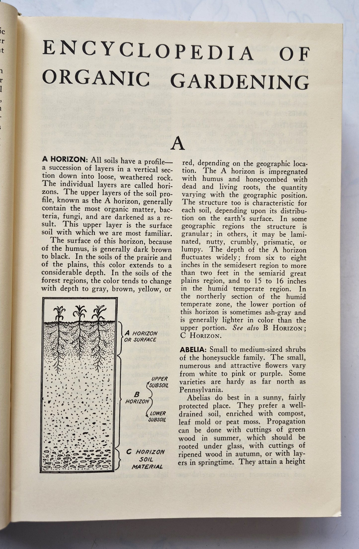 Rodale's Garden Problem Solver: Vegetables, Frutis, Herbs von Jeff Ball (Sehr gut, 1988, Gebundene Ausgabe, 350 Seiten, Rodale Press)