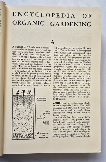 Rodale's Garden Problem Solver: Vegetables, Frutis, Herbs von Jeff Ball (Sehr gut, 1988, Gebundene Ausgabe, 350 Seiten, Rodale Press)