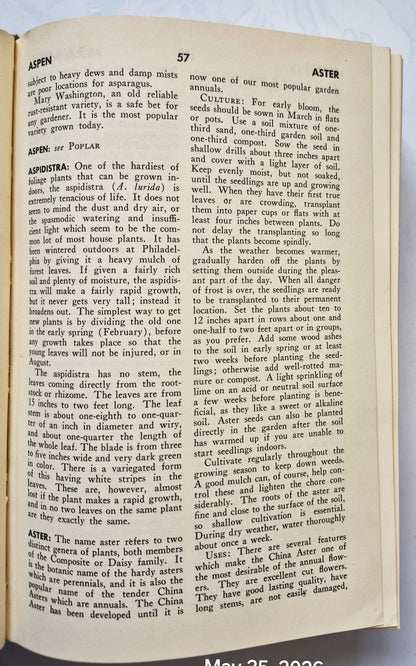 Rodale's Garden Problem Solver: Vegetables, Frutis, Herbs von Jeff Ball (Sehr gut, 1988, Gebundene Ausgabe, 350 Seiten, Rodale Press)