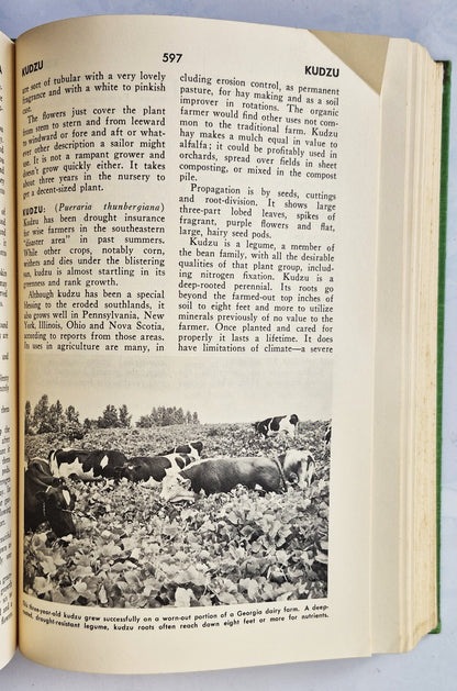 Rodale's Garden Problem Solver: Vegetables, Frutis, Herbs von Jeff Ball (Sehr gut, 1988, Gebundene Ausgabe, 350 Seiten, Rodale Press)