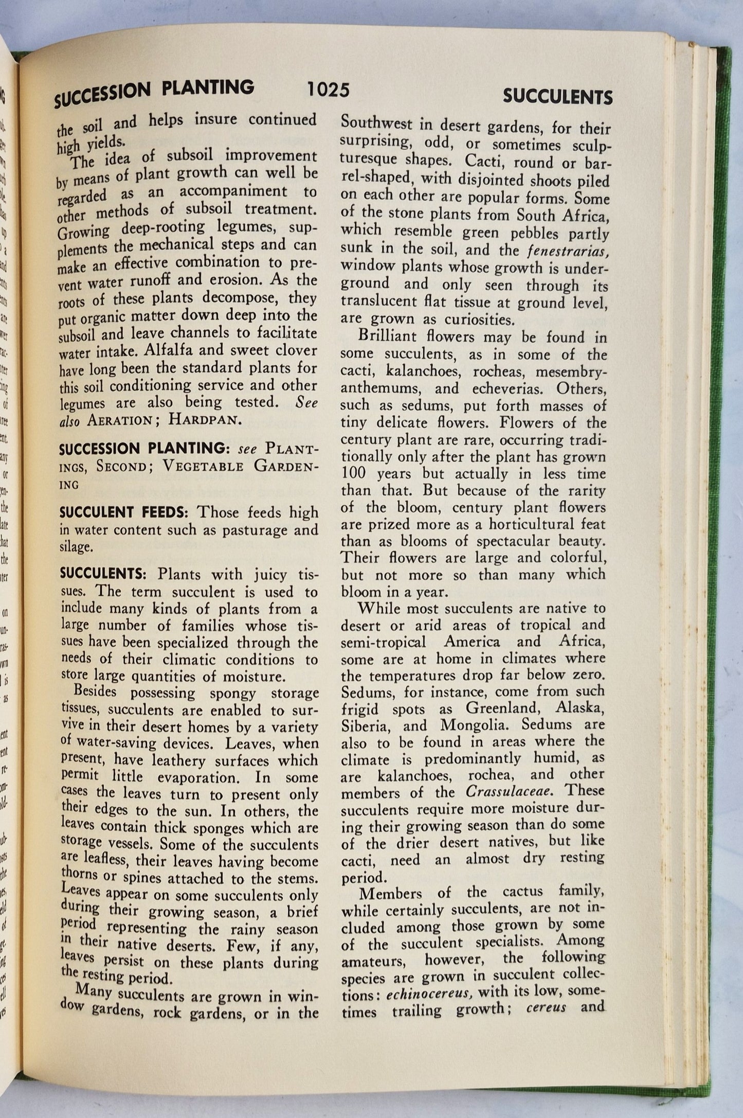 Rodale's Garden Problem Solver: Vegetables, Frutis, Herbs von Jeff Ball (Sehr gut, 1988, Gebundene Ausgabe, 350 Seiten, Rodale Press)