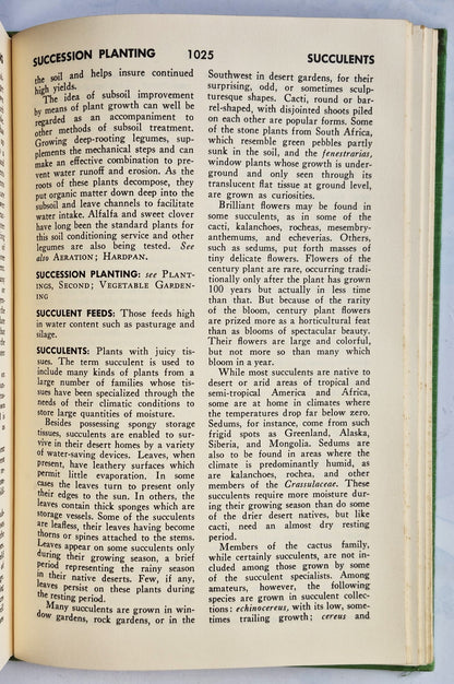 Rodale's Garden Problem Solver: Vegetables, Frutis, Herbs von Jeff Ball (Sehr gut, 1988, Gebundene Ausgabe, 350 Seiten, Rodale Press)