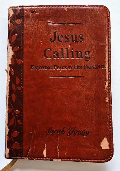 Jesus Calling: Tägliche Andachten für das ganze Jahr von Sarah Young (Gut, 2004, wattierter HC, 382 Seiten, Thomas Nelson)