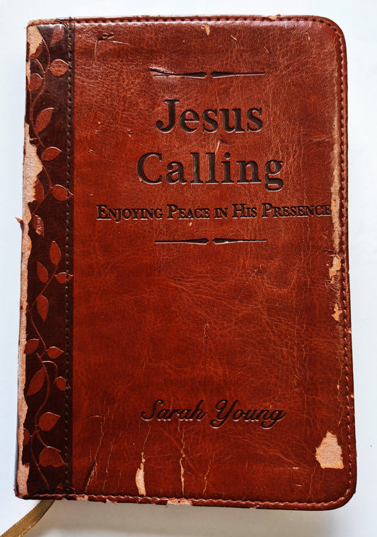 Jesus Calling: Enjoying Peace in His Presence by Sarah Young (Good, 2004, Pbk, 382 pgs, Thomas Nelson)