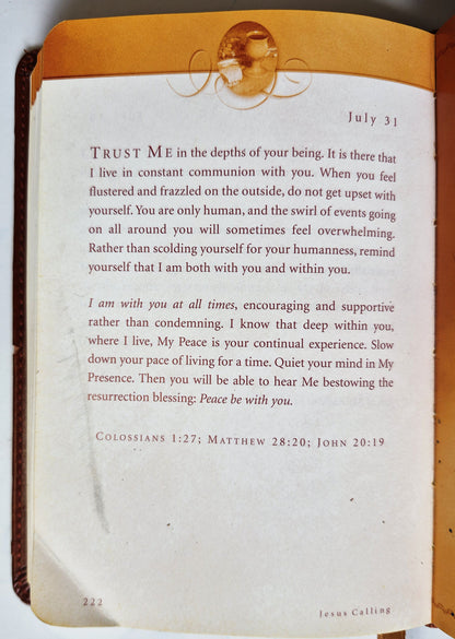 Jesus Calling: Tägliche Andachten für das ganze Jahr von Sarah Young (Gut, 2004, wattierter HC, 382 Seiten, Thomas Nelson)