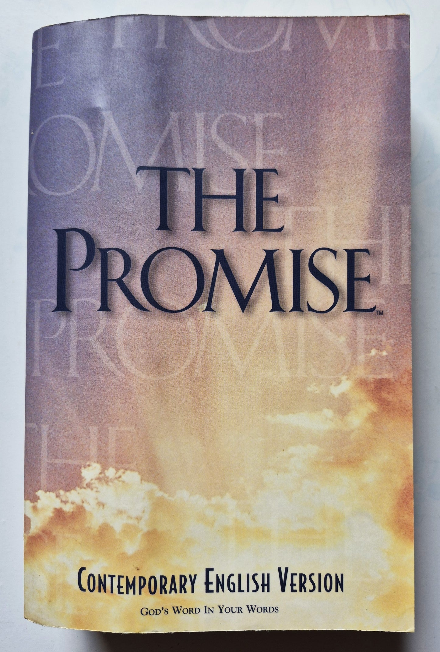 CEV The Promise Bible (Sehr gut, 1995, Pbk, 1473 Seiten, Thomas Nelson)