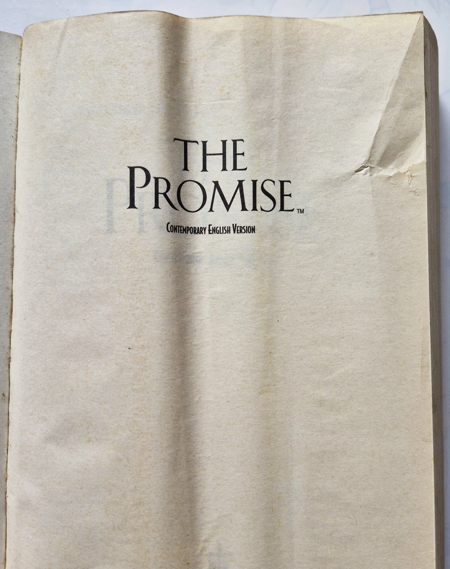 CEV The Promise Bible (Sehr gut, 1995, Pbk, 1473 Seiten, Thomas Nelson)
