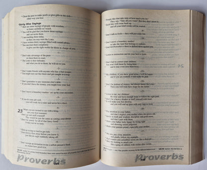 CEV The Promise Bible (Sehr gut, 1995, Pbk, 1473 Seiten, Thomas Nelson)