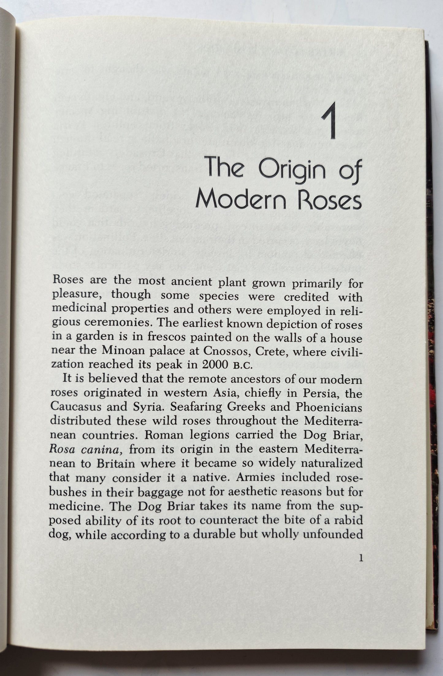 Peter Malins' Rose Book by Peter Malins; M. M. Graff (Very good, 1979, HC, 258 pgs, Dodd Mead & Co.)