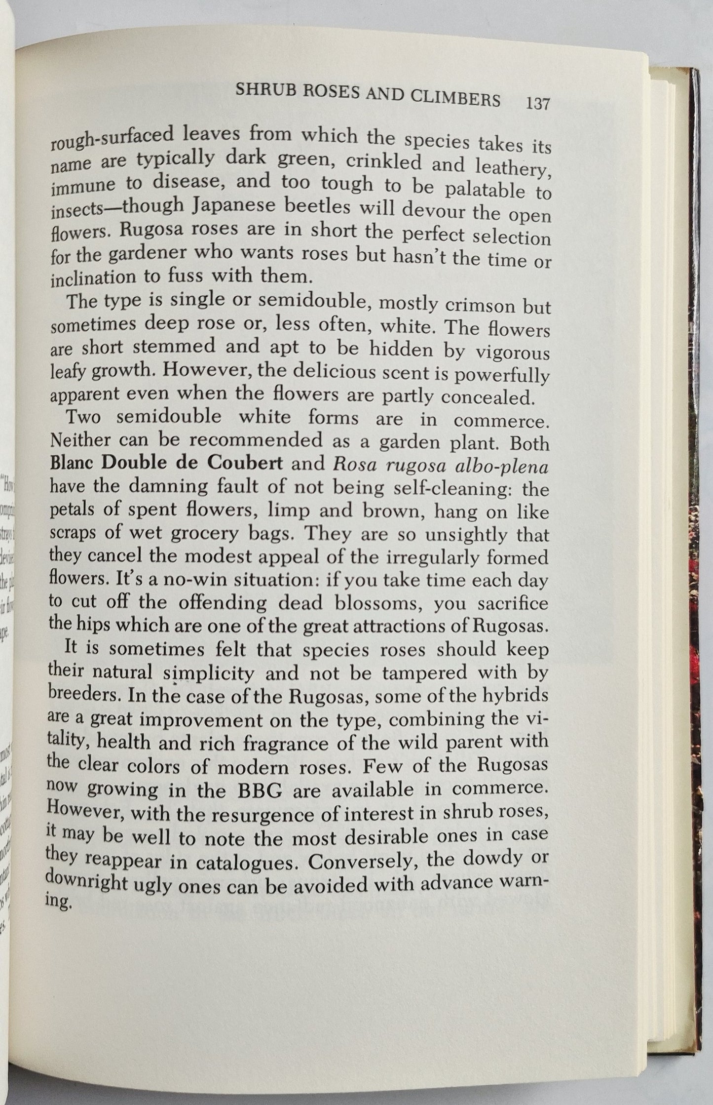 Peter Malins' Rose Book by Peter Malins; M. M. Graff (Very good, 1979, HC, 258 pgs, Dodd Mead & Co.)