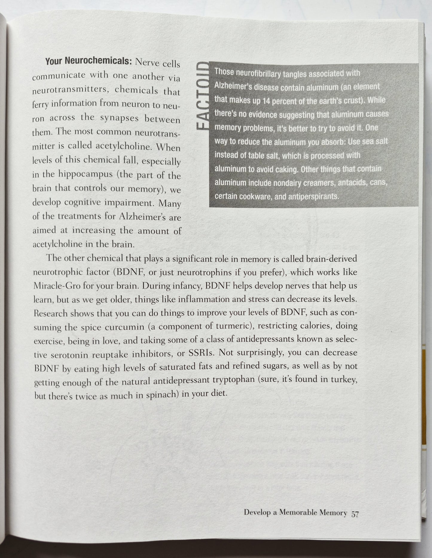 You Being Beautiful: The Owner's Manual to Inner & Outer Beauty by Michael F. Roizen; Mehmet C. Oz (Very good, 2012, HC, 456 pgs, Rodale)