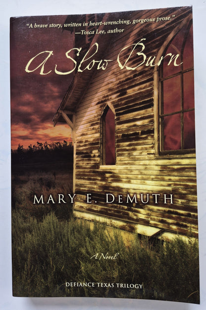 A Slow Burn by Mary DeMuth - Defiance, Texas #2, Very good, 2009, Pbk, 367 pgs, Zondervan