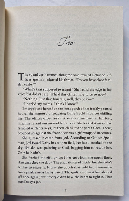 A Slow Burn by Mary DeMuth - Defiance, Texas #2, Very good, 2009, Pbk, 367 pgs, Zondervan