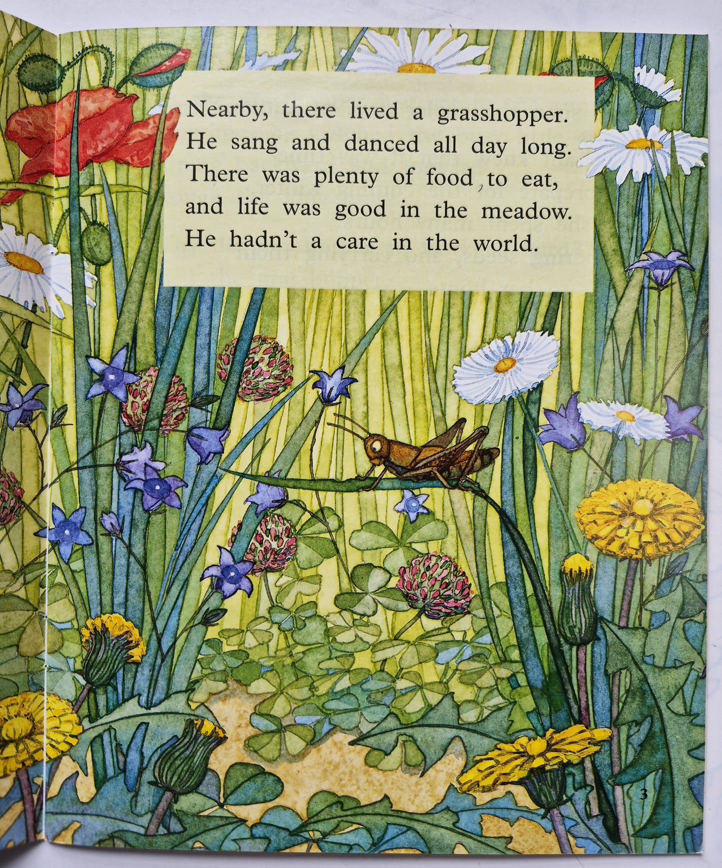 The Ant and the Grasshopper by Jenny Giles; Pat Reynolds (Very good, 2002, Pbk, 16 pgs, Rigby PM Plus)
