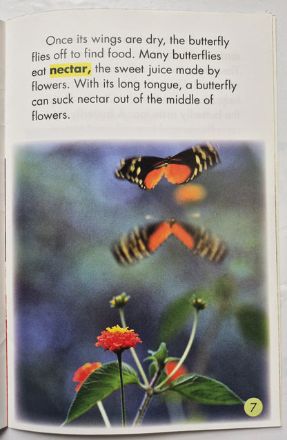 Life Science: Butterflies by Susan Jones Leeming (Very good, Pbk, 16 pgs, Pearson Education)