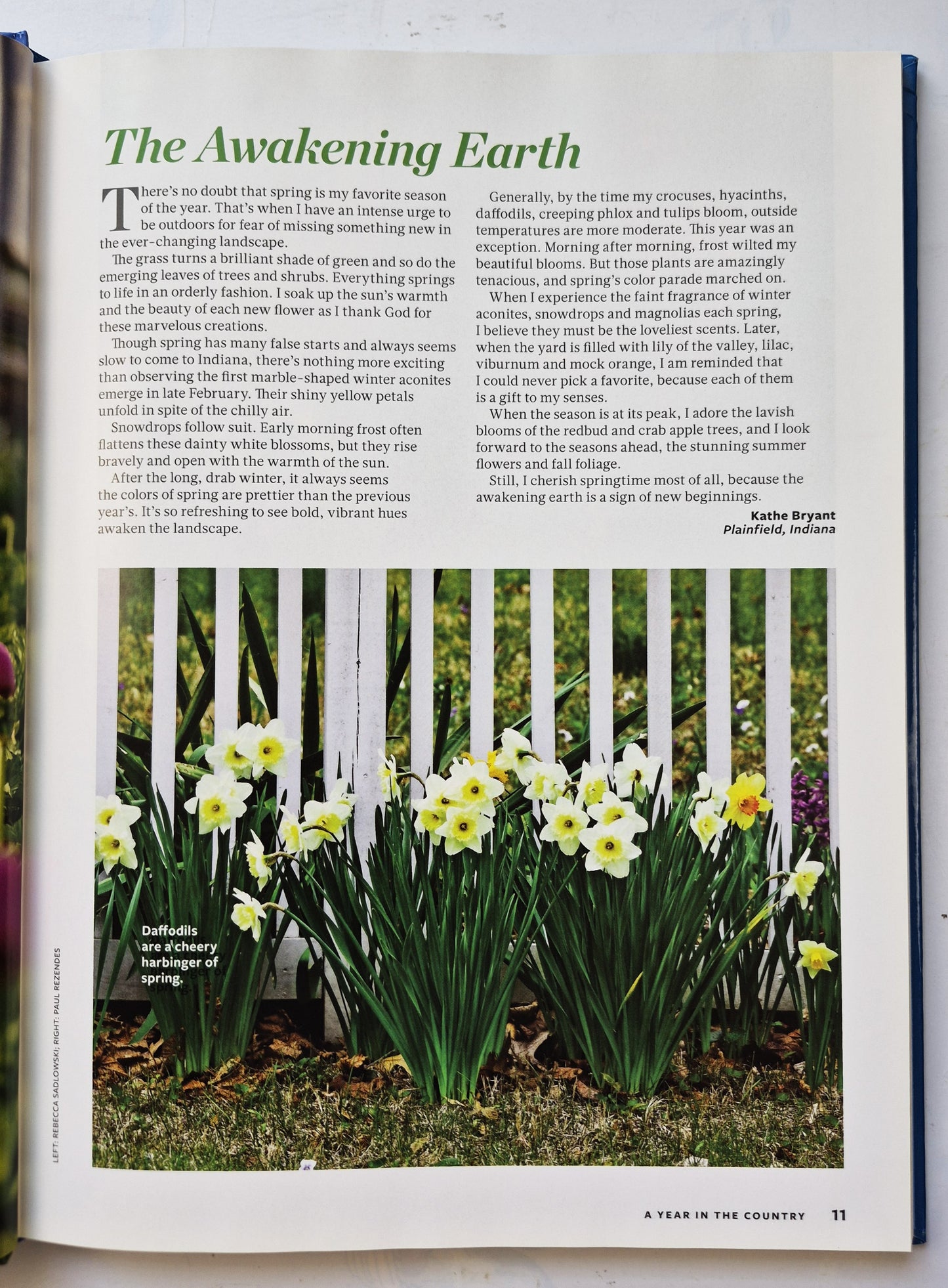A Year in the Country 2018 by Reader's Digest (Very good, 2018, HC, 192 pgs, RDA Enthusiastic Brands)