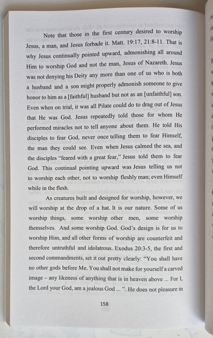 The Branch by James Pikl (Very good, 2022, Pbk, 195 pgs)
